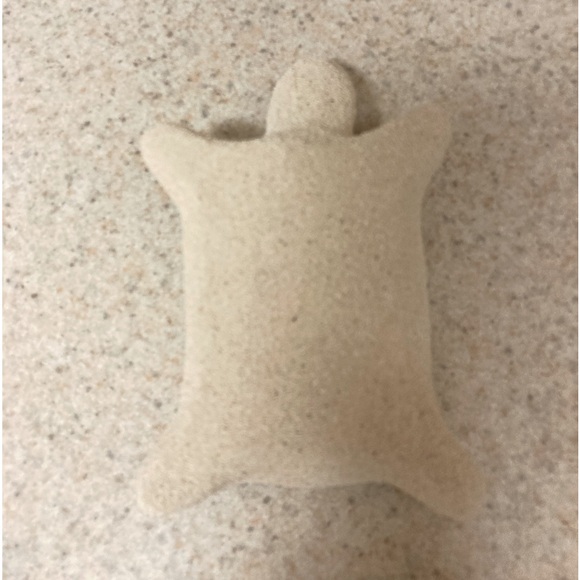 Sandstone Turtle 🐢 - Picture 6 of 6